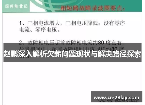 赵鹏深入解析欠薪问题现状与解决路径探索