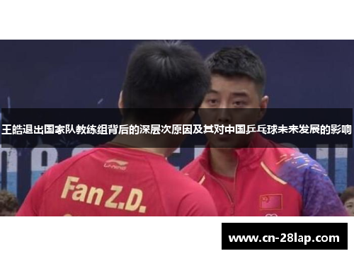 王皓退出国家队教练组背后的深层次原因及其对中国乒乓球未来发展的影响